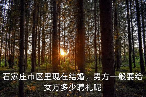 石家莊市區里現在結婚，男方一般要給女方多少聘禮呢