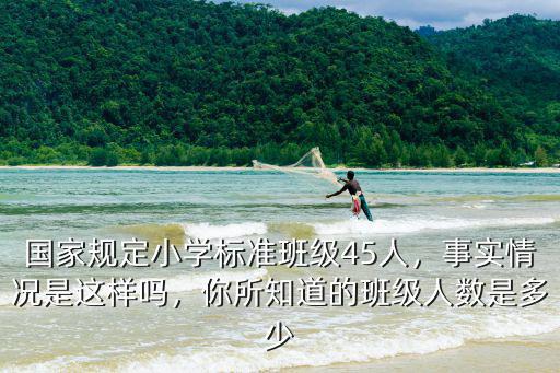 河北小學(xué)每個(gè)班規(guī)定多少人,國(guó)家規(guī)定小學(xué)標(biāo)準(zhǔn)班級(jí)45人