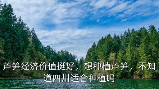 四川哪里種植蘆筍,蘆筍如何種植