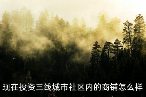 宜昌投資小區底商怎么樣,怎么樣的小區底商值得投資的