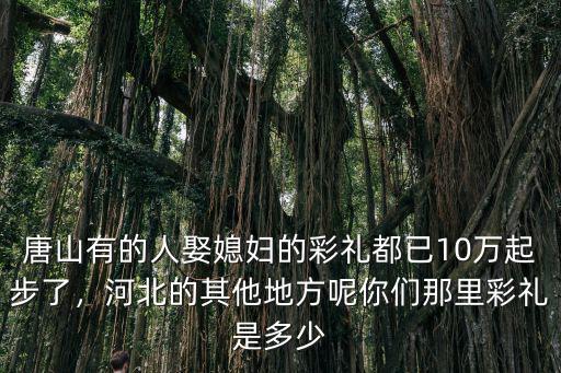 唐山有的人娶媳婦的彩禮都已10萬起步了，河北的其他地方呢你們那里彩禮是多少