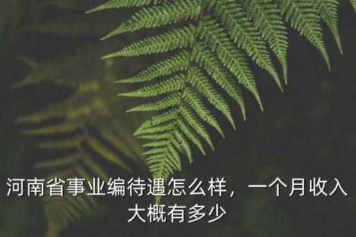 河南省事業(yè)編待遇怎么樣，一個月收入大概有多少