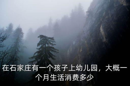 石家莊市區幼兒園一個月多少錢一個月,大概一個月生活消費多少