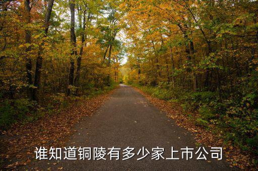 誰知道銅陵有多少家上市公司