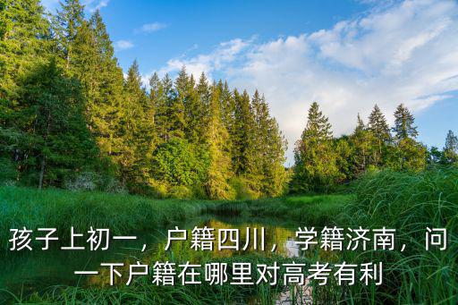孩子上初一，戶籍四川，學(xué)籍濟(jì)南，問(wèn)一下戶籍在哪里對(duì)高考有利