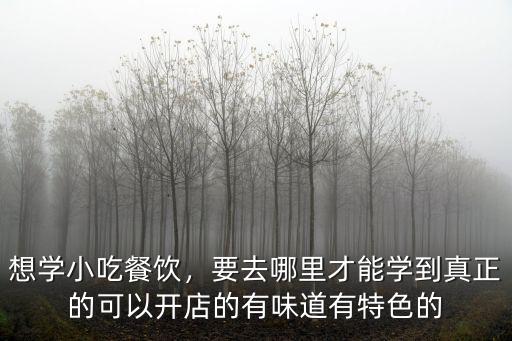 想學小吃餐飲，要去哪里才能學到真正的可以開店的有味道有特色的
