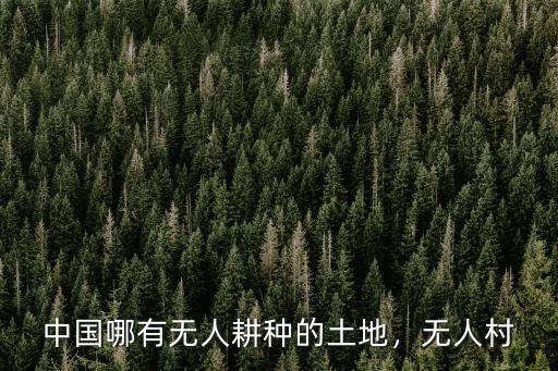 成都哪里有無人村,中國哪有無人耕種的土地