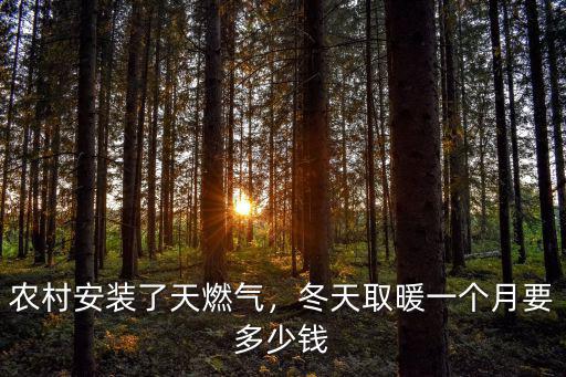 河北一方天然氣多少錢,天然氣6元一方