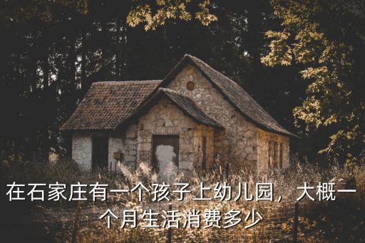 在石家莊有一個(gè)孩子上幼兒園，大概一個(gè)月生活消費(fèi)多少