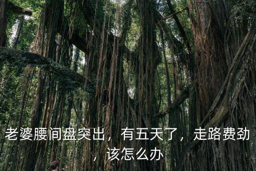 老婆腰間盤突出，有五天了，走路費勁，該怎么辦