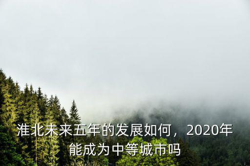 淮北2020年大約有多少人口,2020年能成為中等城市嗎