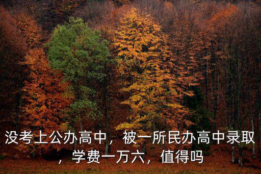 沒(méi)考上公辦高中，被一所民辦高中錄取，學(xué)費(fèi)一萬(wàn)六，值得嗎