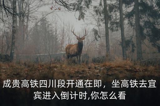 宜賓高鐵從哪里進(jìn),成貴高鐵已經(jīng)經(jīng)過(guò)宜賓