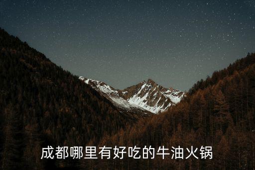 成都哪里有好吃的牛油火鍋