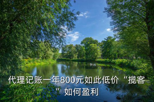 代理記賬一年800元如此低價“攬客”如何盈利