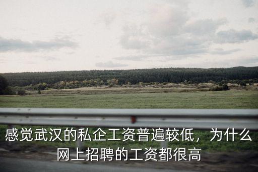 感覺武漢的私企工資普遍較低，為什么網上招聘的工資都很高