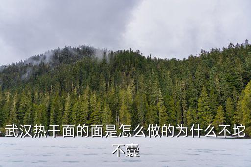 武漢熱干面的面是怎么做的為什么不坨不囊