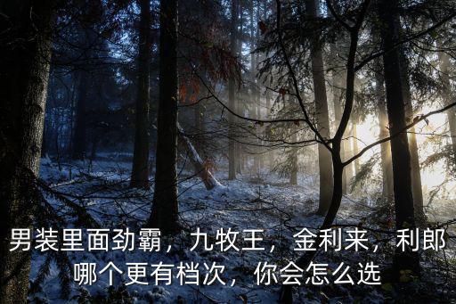 利郎男裝成都哪里有賣,利郎哪個更有檔次