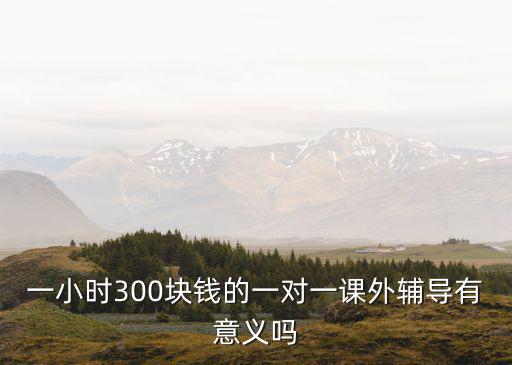 一小時(shí)300塊錢的一對一課外輔導(dǎo)有意義嗎