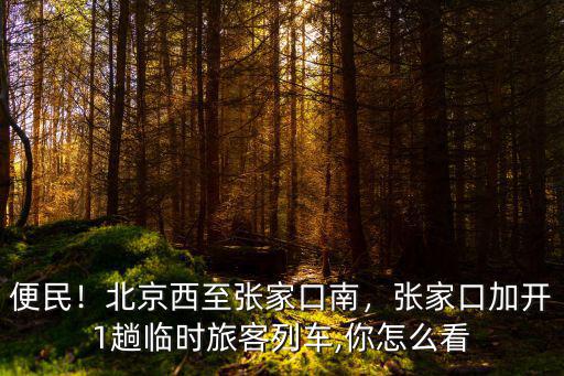 張家口南站到北京西補票多少,北京西至張家口南