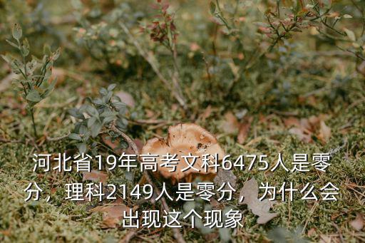 河北省19年高考文科6475人是零分，理科2149人是零分，為什么會出現這個現象