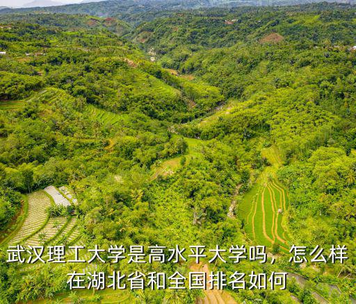 武漢理工大學是高水平大學嗎，怎么樣在湖北省和全國排名如何