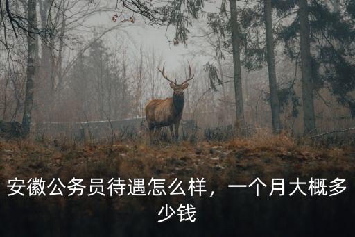 安徽美芝一個月多少錢,一個月大概多少錢