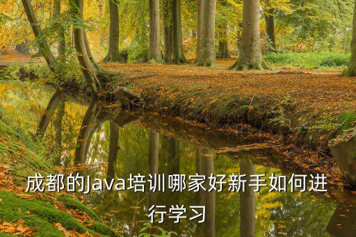 成都的Java培訓(xùn)哪家好新手如何進(jìn)行學(xué)習(xí)