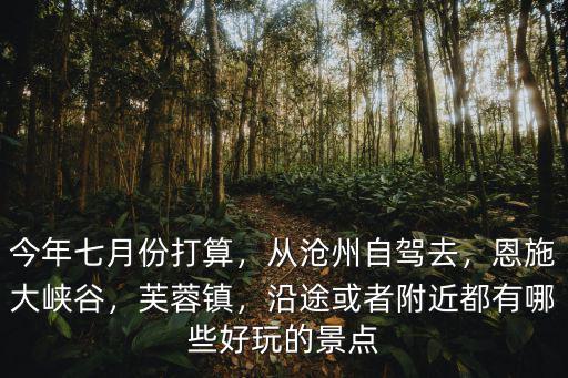 從武漢去滄州開車怎么走,從滄州自駕去
