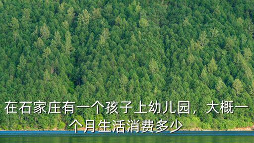 石家莊機關幼兒園每月多少錢,在石家莊有一個孩子上幼兒園
