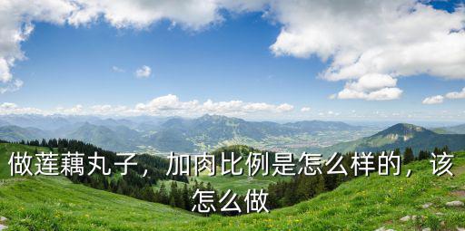 做蓮藕丸子，加肉比例是怎么樣的，該怎么做