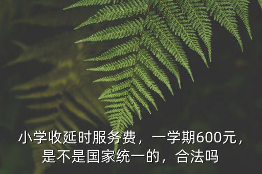 河北課后延時服務費多少,小學收延時服務費