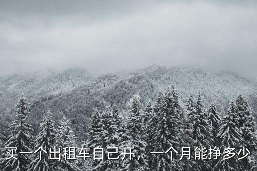 買一個出租車自己開，一個月能掙多少