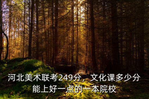 河北美術聯考249分，文化課多少分能上好一點的一本院校