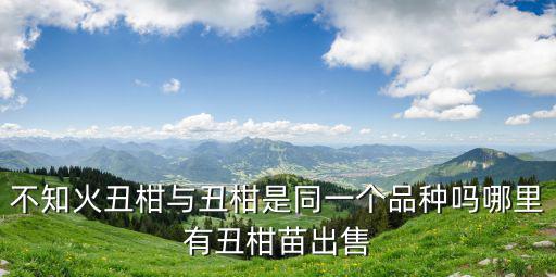 丑柑在四川哪里最好,丑柑耙耙柑主要產區在哪里