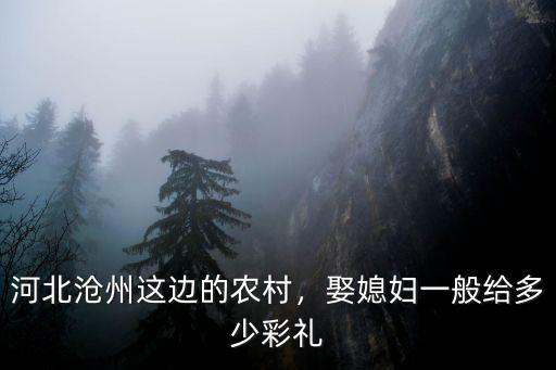 河北滄州這邊的農村，娶媳婦一般給多少彩禮
