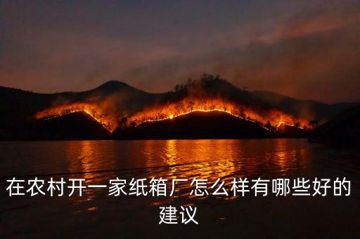 在農村開一家紙箱廠怎么樣有哪些好的建議