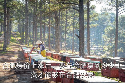 合肥笑童顏工資多少,合肥房價(jià)上漲后