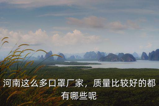 河南這么多口罩廠家，質量比較好的都有哪些呢