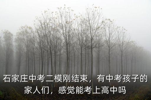 石家莊九中每年有多少人考上高中,感覺能考上高中嗎