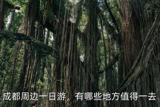成都附近哪里有耍的一天來回,成都附近好玩的山
