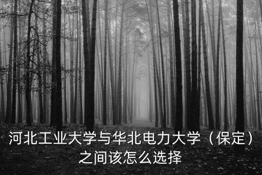 河北工業大學與華北電力大學（保定）之間該怎么選擇
