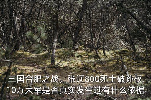 孫權合肥之戰張遼領兵多少,三國合肥之戰