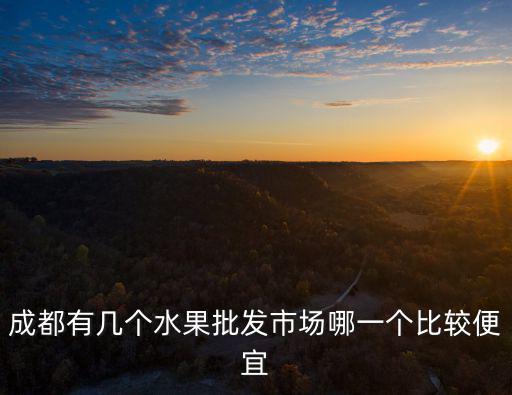 成都有幾個(gè)水果批發(fā)市場(chǎng)哪一個(gè)比較便宜