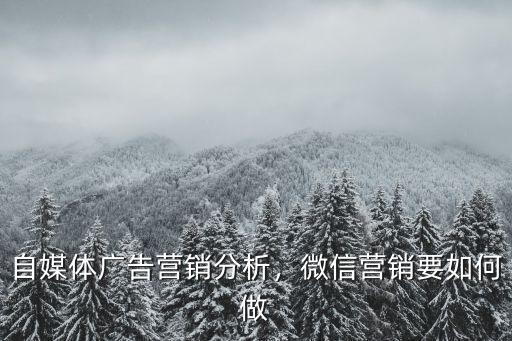 河南微信營銷廣告怎么發(fā),自媒體廣告營銷分析