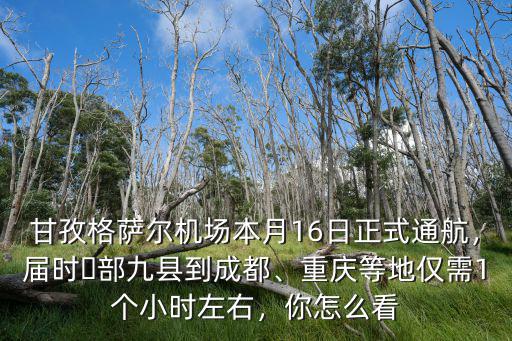 甘孜格薩爾是哪里,甘孜格薩爾機(jī)場正式通航