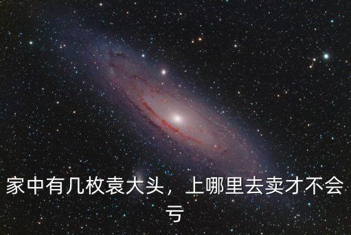 家中有幾枚袁大頭，上哪里去賣才不會虧
