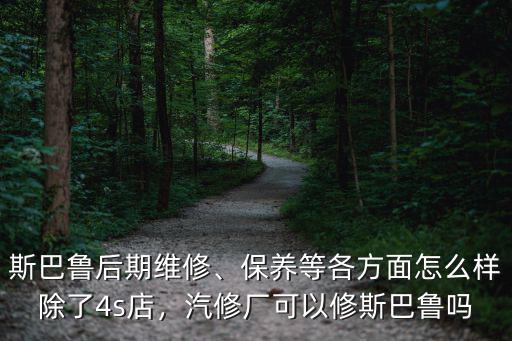 南充哪里修斯巴魯,汽修廠可以修斯巴魯嗎