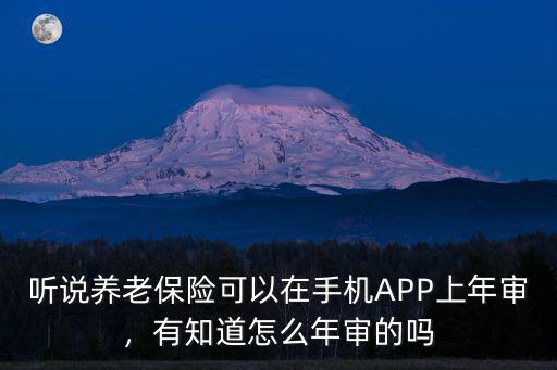 聽說養老保險可以在手機APP上年審，有知道怎么年審的嗎