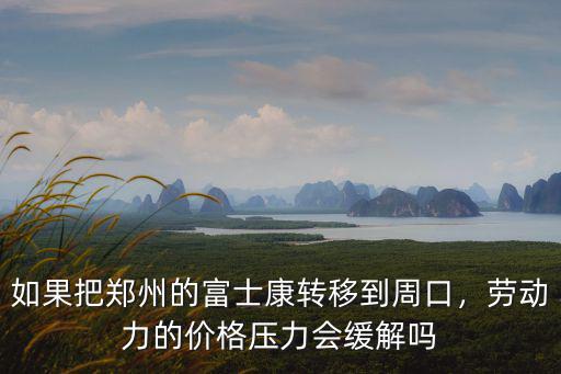 如果把鄭州的富士康轉移到周口，勞動力的價格壓力會緩解嗎